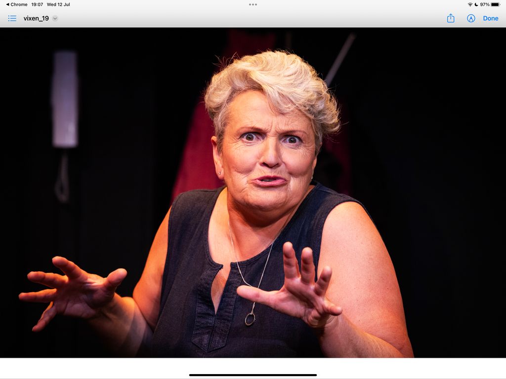 Vixen (Play)